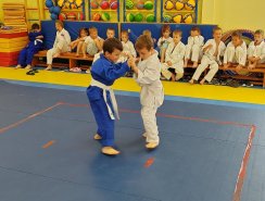 img (5)